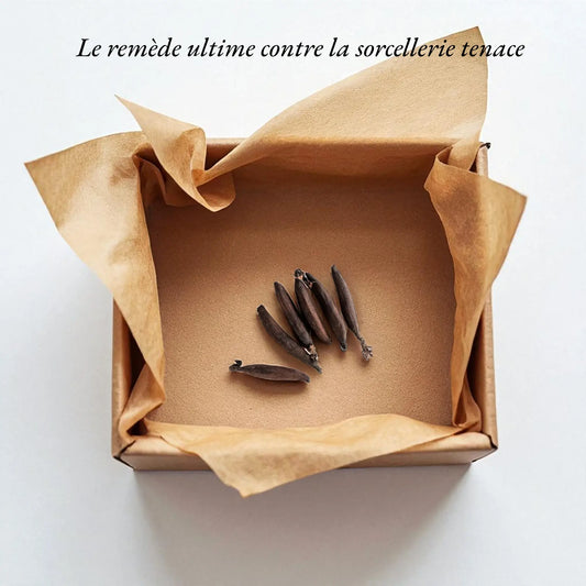 Jujube des Chefs (1 pièce)