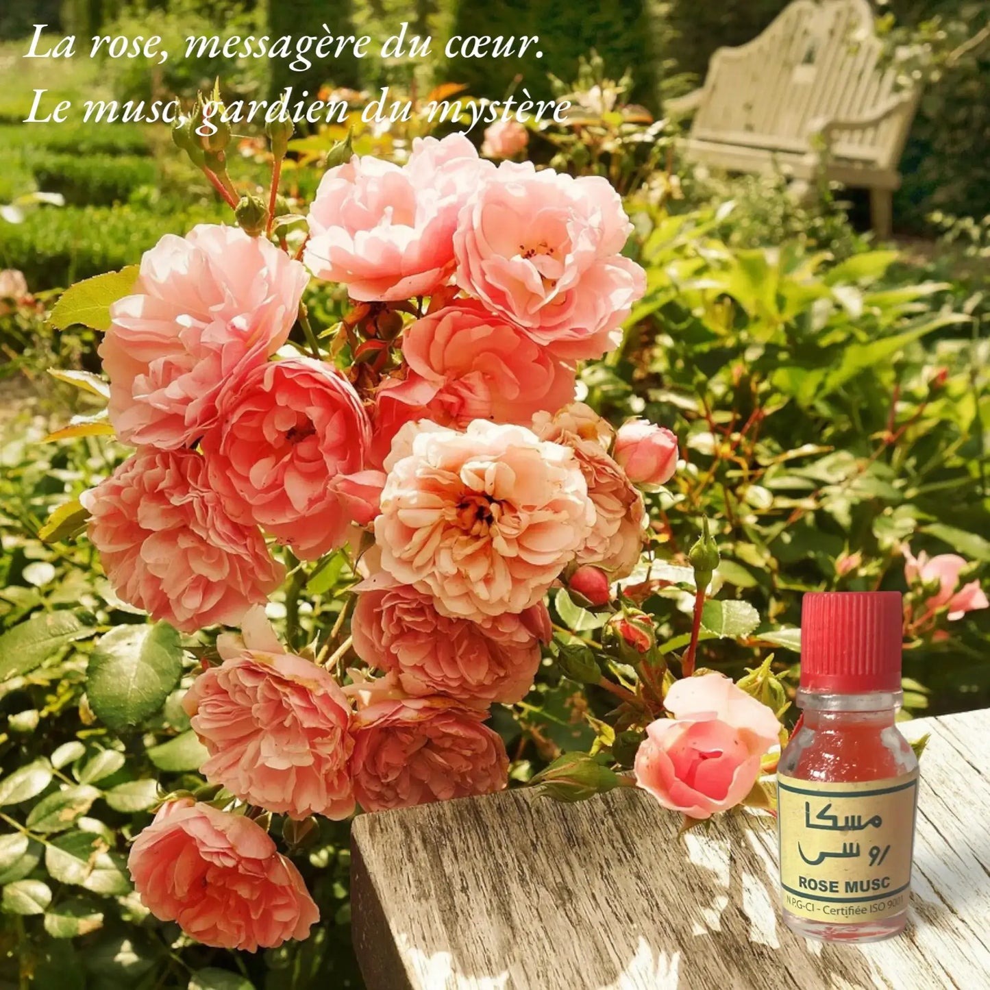 Parfum Rose Musc 4 ml
