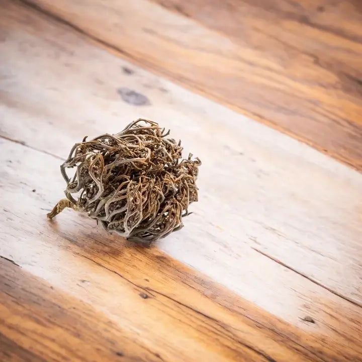 Une rose de Jéricho (chajarat mariam) posée sur une table en bois