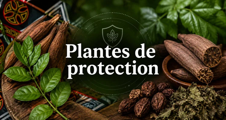 Plantes de protection