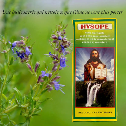 Huile Spirituelle Hysope