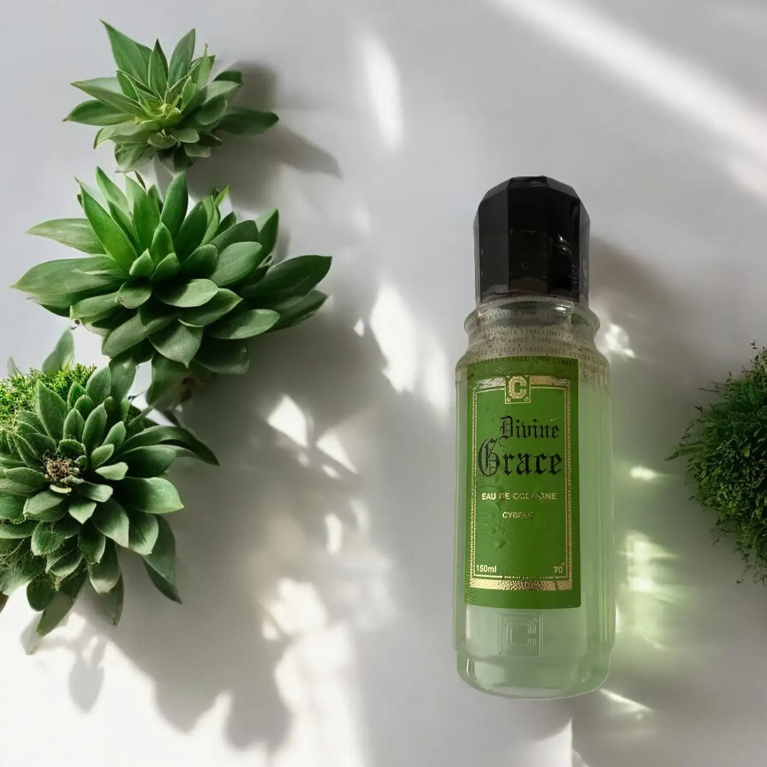 Une bouteille de parfum Divine Grace entourée de plantes vertes