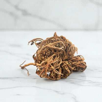 Photo d'une rose de Jericho