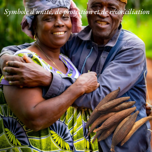 Jujube (Aframomum) - Mystical Roots 3 pièces