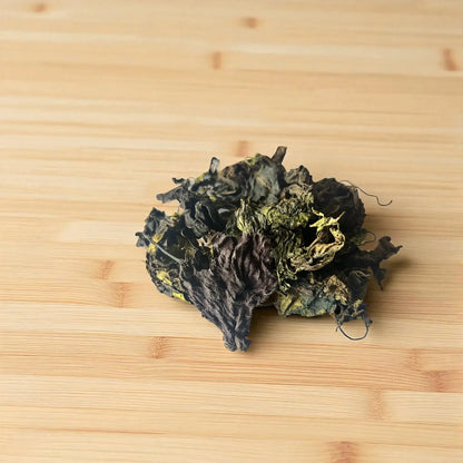 Herbe 2 Côtés, Plante Africaine Médicinale et Sacrée, 50 g