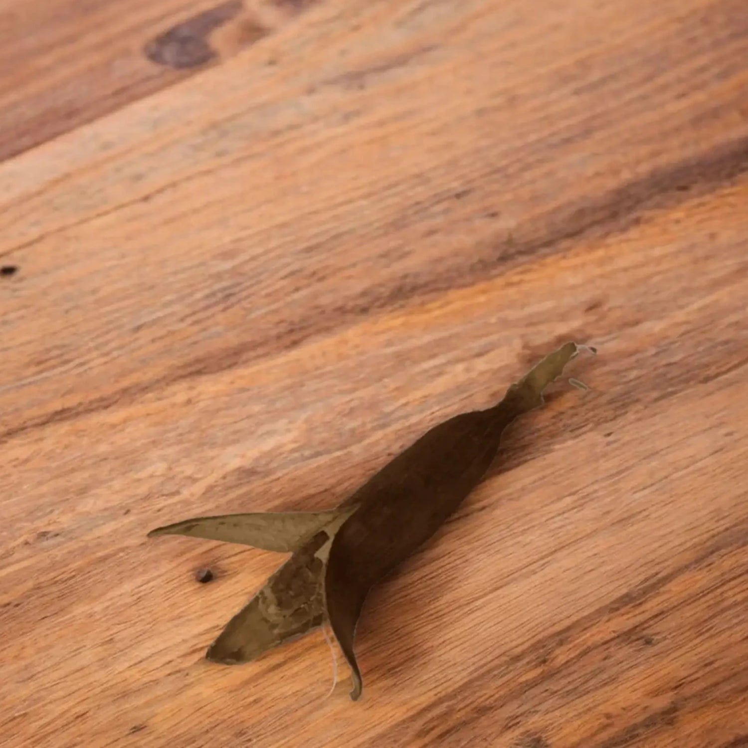 jujube posée sur une table en bois