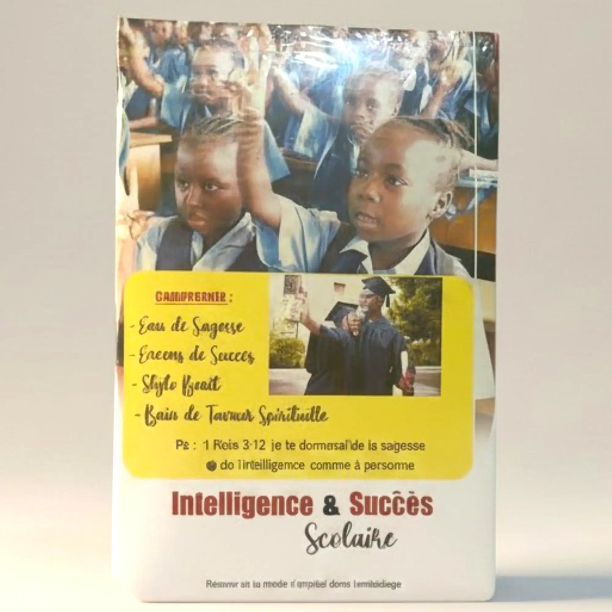 kit intelligence et succès scolaire