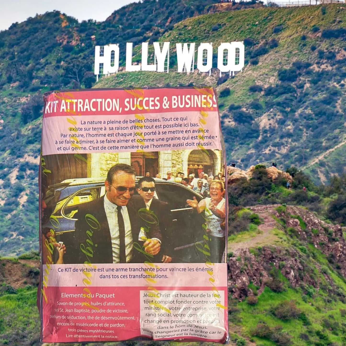 Kit Attraction, Succès & Business