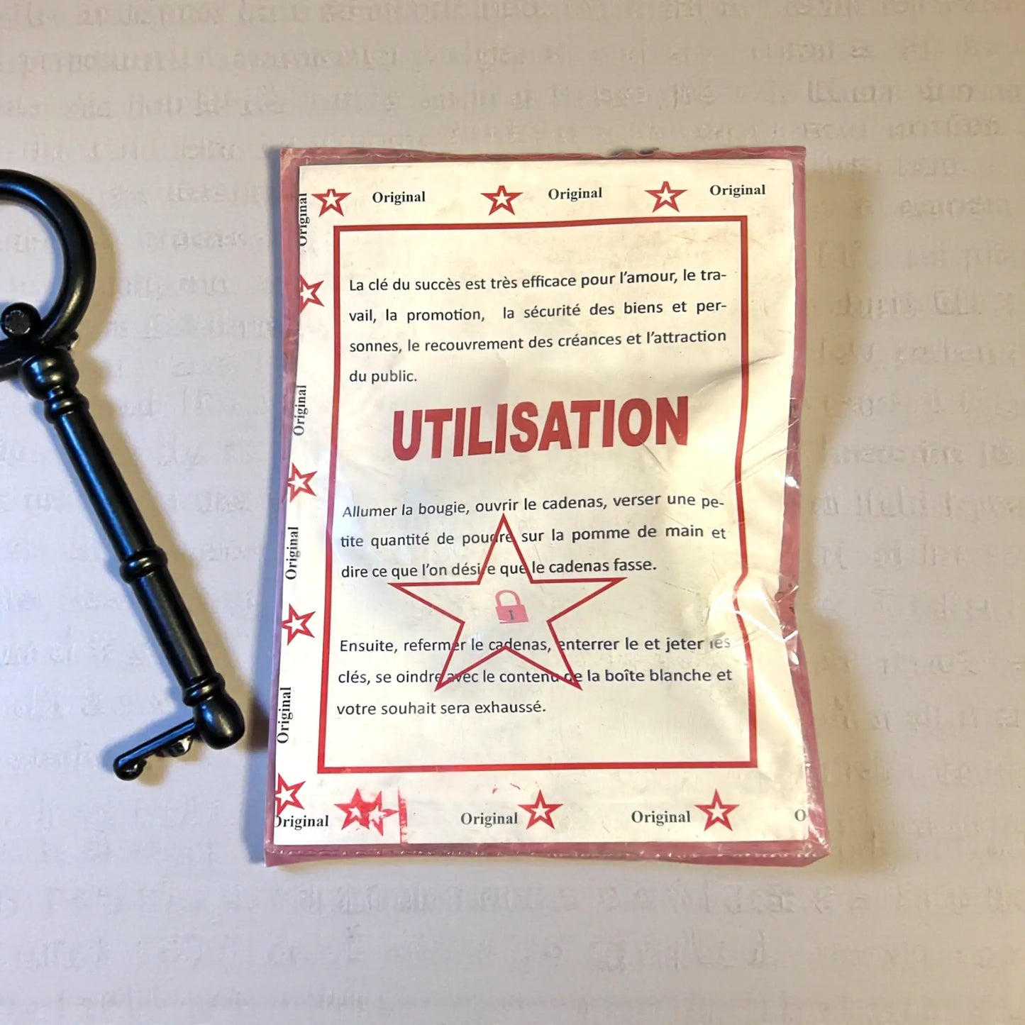 La Clé du Succès du Dr VIJAY