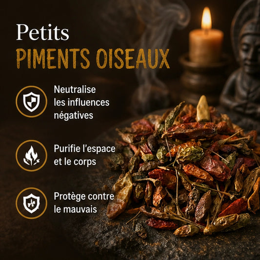 Petits piments oiseaux séchés dans une ambiance rituelle sombre, avec les bénéfices neutralise les influences, purifie corps et espace et protège contre le mauvais