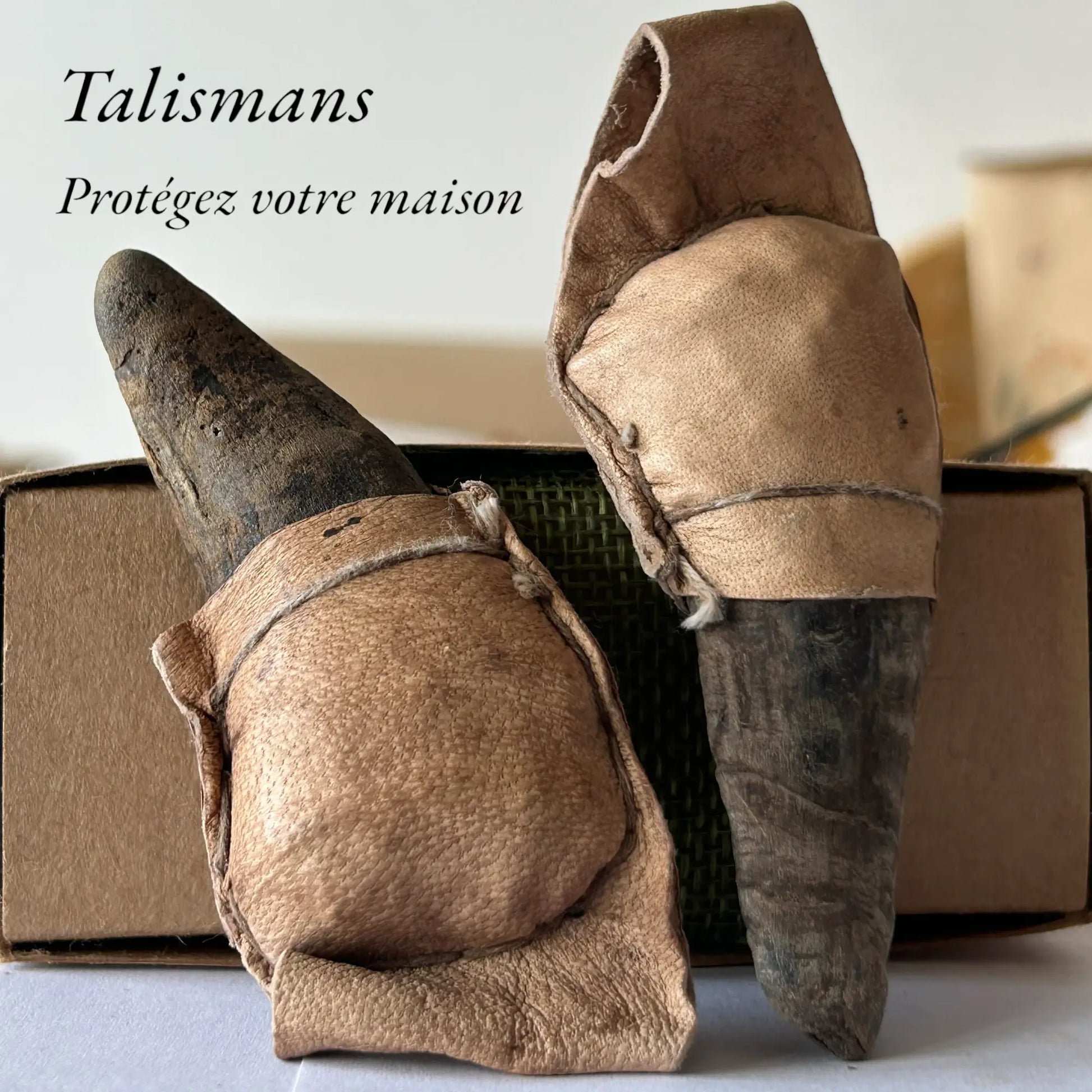 Corne talisman de protection des lieux pour protéger votre maison