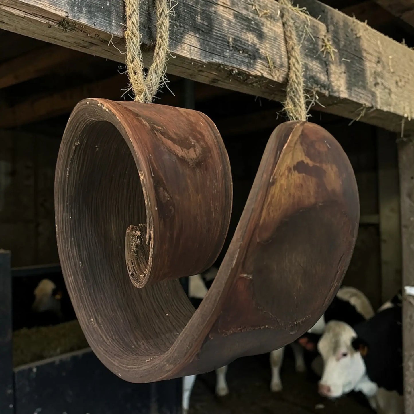 Tifandjem – Protection incorruptible de la maison